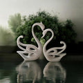 Swan